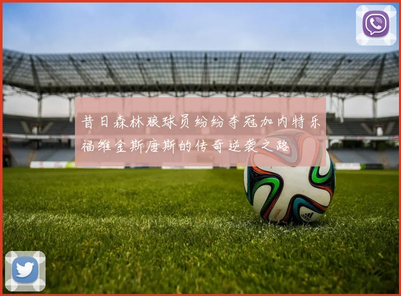 昔日森林狼球员纷纷夺冠加内特乐福维金斯唐斯的传奇逆袭之路