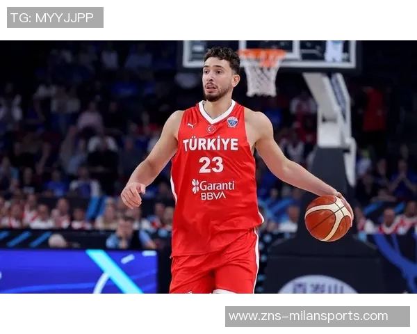 蒂格点评申京潜力称其接近约基奇水平引发热议